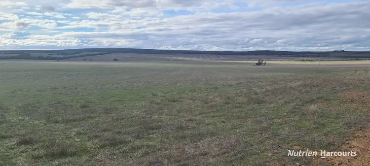 Seventh view of Homely rural property listing, 1467 Boxwood Hill-Ongerup Road, Boxwood Hill WA 6338