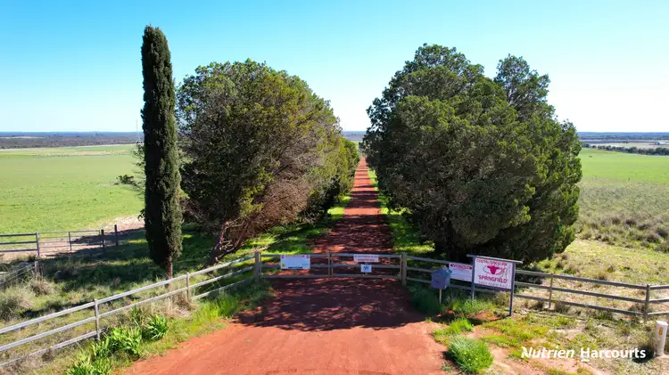 Fifth view of Homely rural property listing, 5857 Brand Highway, Beermullah WA 6503