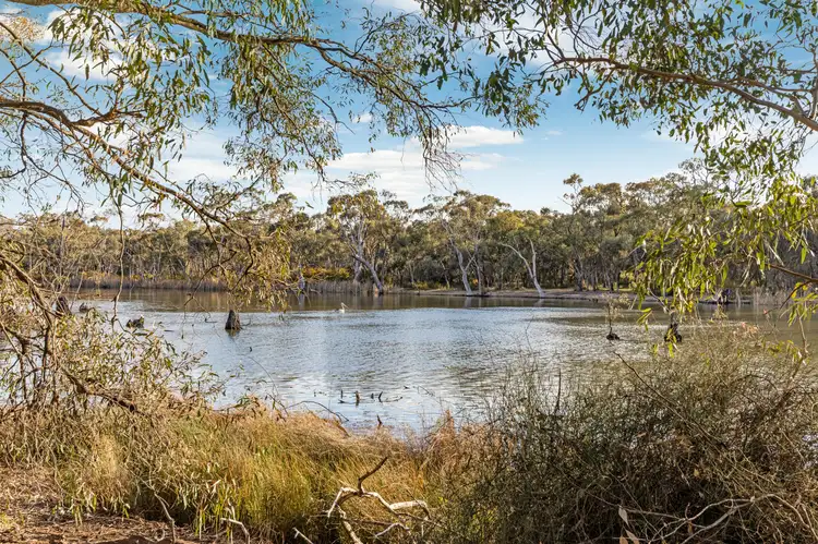 535 Thompsons Bridge Road, Gunbower VIC 3566