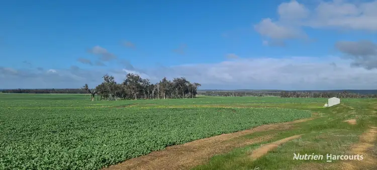 Third view of Homely rural property listing, 1606 Wingebellup Road, Frankland River WA 6396