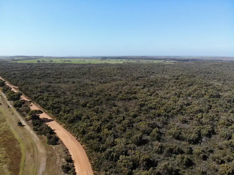 Main view of Homely rural property listing, 105 Colmans Road, Western River SA 5223