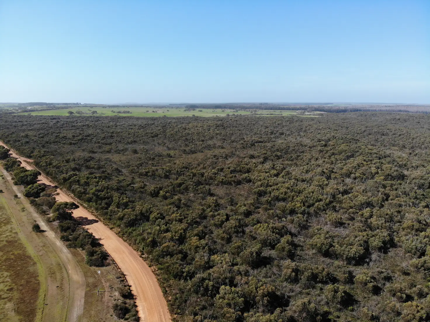 Main view of Homely rural property listing, 105 Colmans Road, Western River SA 5223