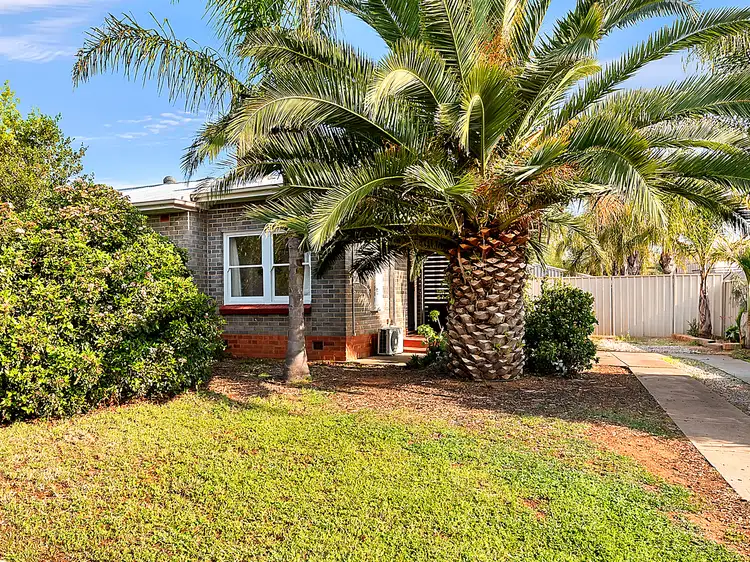 Main view of Homely semi-detached listing, 53 Grateley Street, Elizabeth Grove SA 5112