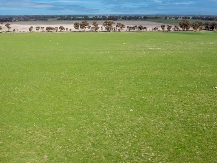 Sixth view of Homely rural property listing, "Seymours"/CA 3 Boundary Road, Norong VIC 3682