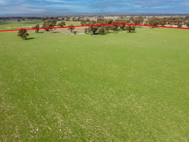 Seventh view of Homely rural property listing, "Seymours"/CA 3 Boundary Road, Norong VIC 3682
