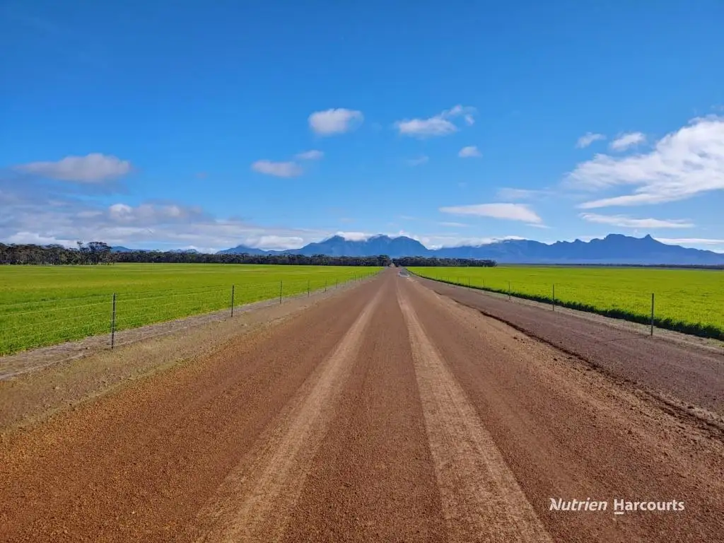 Main view of Homely rural property listing, 3285 Chillinup Road, Kojaneerup South WA 6328