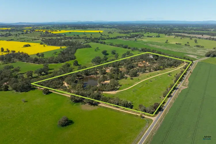 Main view of Homely rural property listing, 19 Paolini Lane, Broken Creek VIC 3673