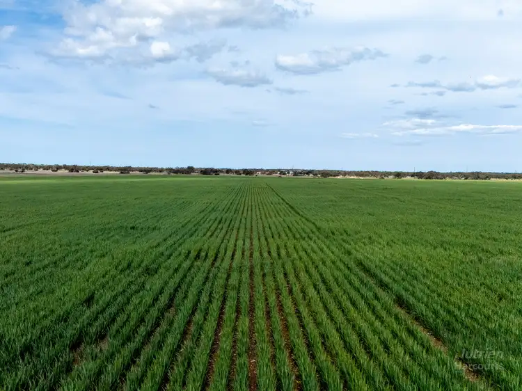 Fourth view of Homely rural property listing, Sect. 108 Weavers Road, Stansbury SA 5582