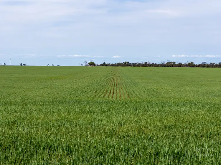 Sixth view of Homely rural property listing, Sect. 108 Weavers Road, Stansbury SA 5582