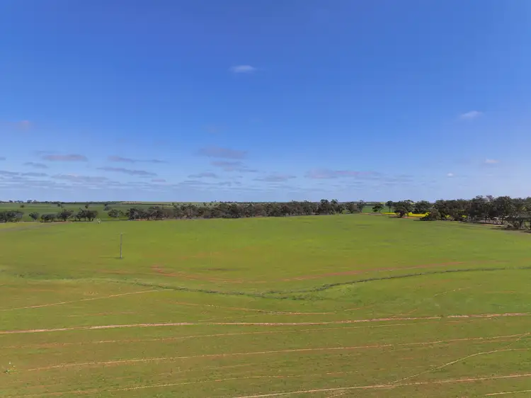 Fifth view of Homely rural property listing, 0 Broughton Road, Kaniva VIC 3419