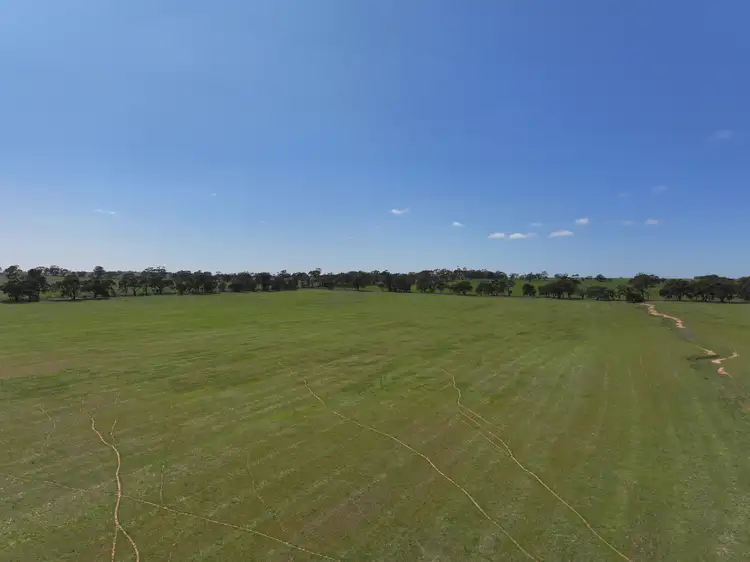 Seventh view of Homely rural property listing, 0 Broughton Road, Kaniva VIC 3419