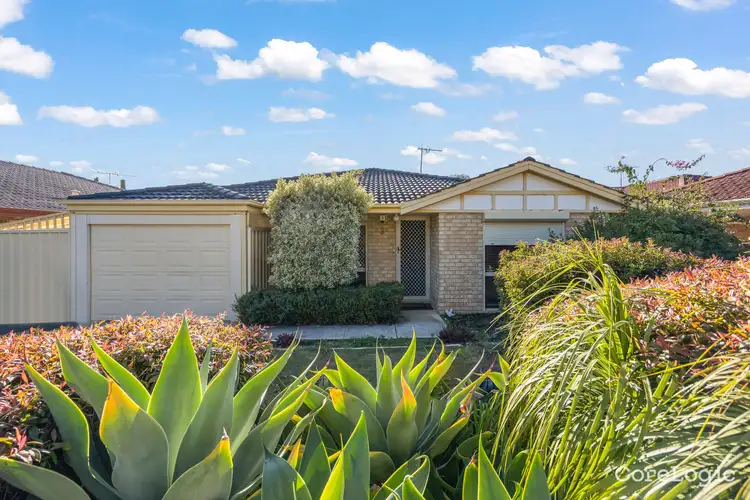 Main view of Homely house listing, 8 Groote Gardens, Ballajura WA 6066