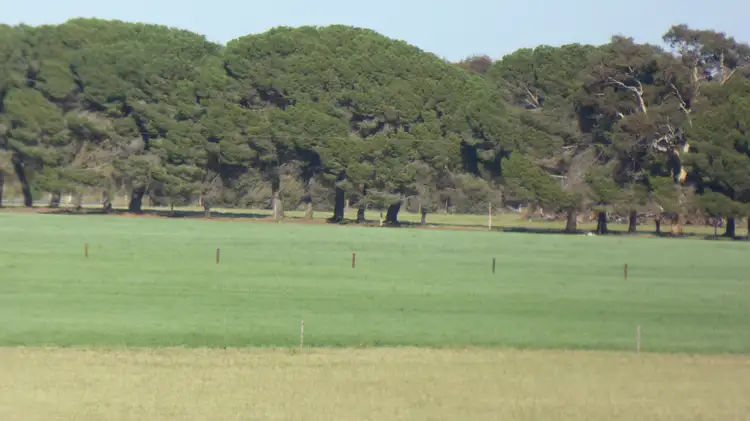 Fourth view of Homely rural property listing, 9297 Dukes Highway, Tintinara SA 5266
