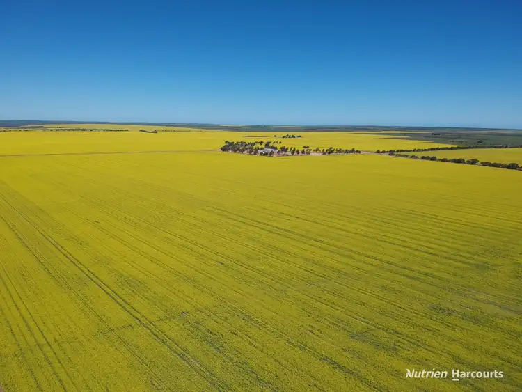 Second view of Homely rural property listing, 235 Telegraph Road, West Binnu WA 6532