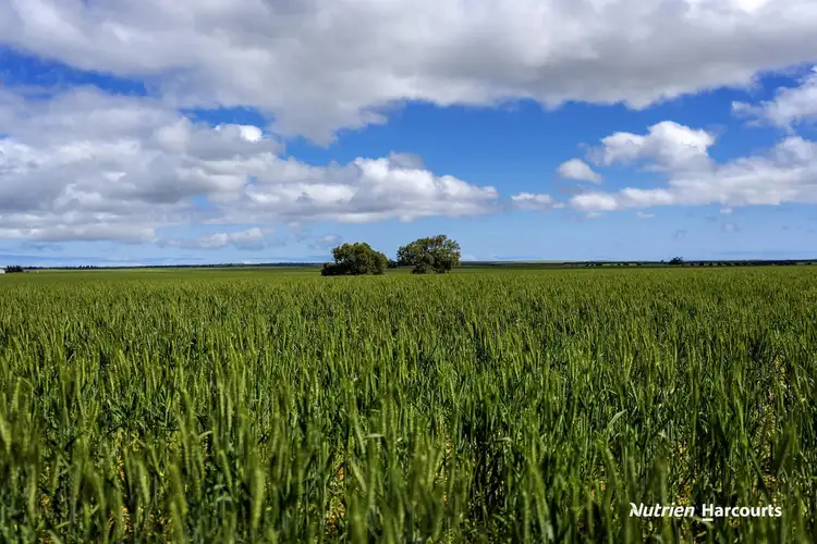 Seventh view of Homely rural property listing, 235 Telegraph Road, West Binnu WA 6532