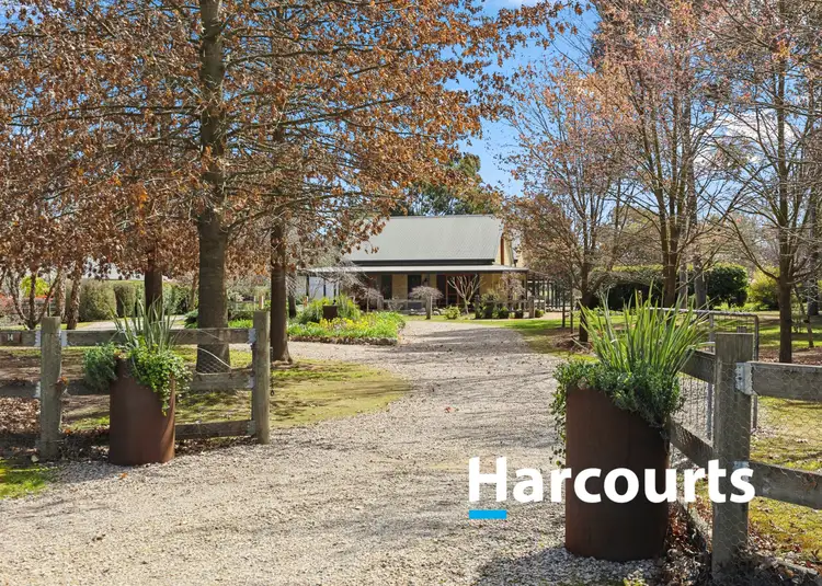 Main view of Homely house listing, 14 Cabernet Court, Milawa VIC 3678
