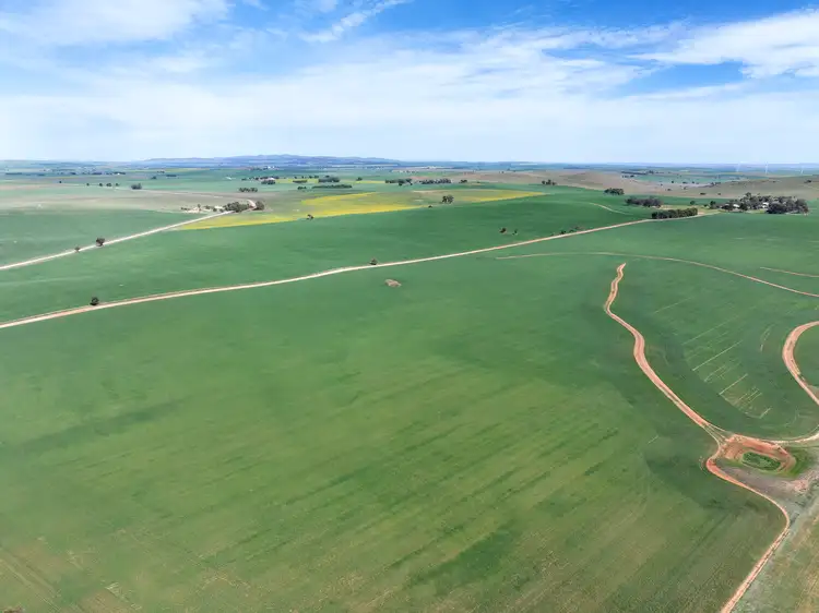 Fifth view of Homely rural property listing, 1032 Frost Road, Jamestown SA 5491