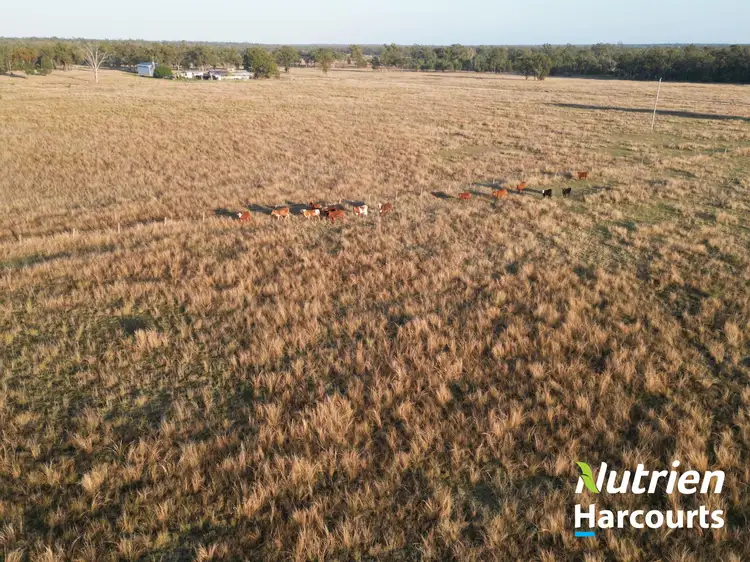 Seventh view of Homely rural property listing, 277 Surcingle Road, Chinchilla QLD 4413
