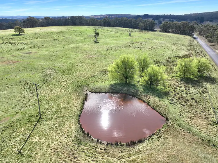 60 Bucky Springs Road, Bombala NSW 2632