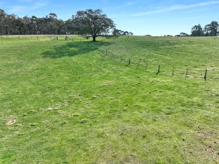 Fourth view of Homely rural property listing, 60 Bucky Springs Road, Bombala NSW 2632