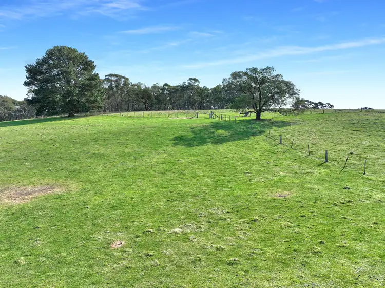 Fifth view of Homely rural property listing, 60 Bucky Springs Road, Bombala NSW 2632