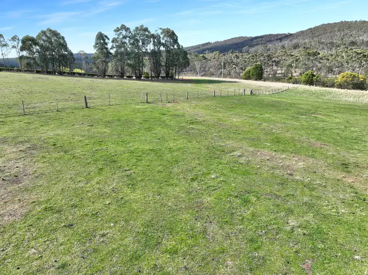 Sixth view of Homely rural property listing, 60 Bucky Springs Road, Bombala NSW 2632