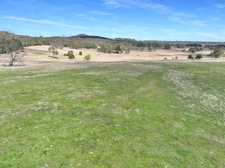 Seventh view of Homely rural property listing, 60 Bucky Springs Road, Bombala NSW 2632