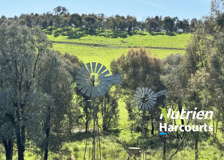 Main view of Homely rural property listing, 95 Granite Road, Lurg VIC 3673