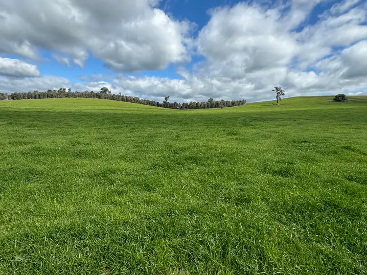 Sixth view of Homely rural property listing, 95 Granite Road, Lurg VIC 3673