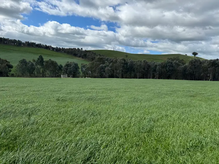Seventh view of Homely rural property listing, 95 Granite Road, Lurg VIC 3673