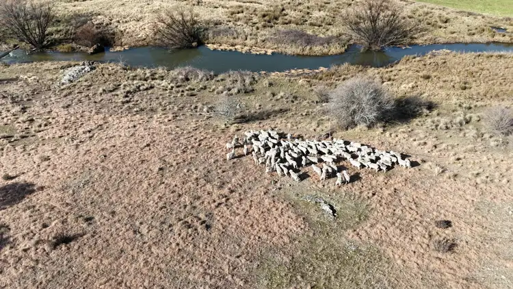 Third view of Homely land listing, 661 Cooma Road, Braidwood NSW 2622