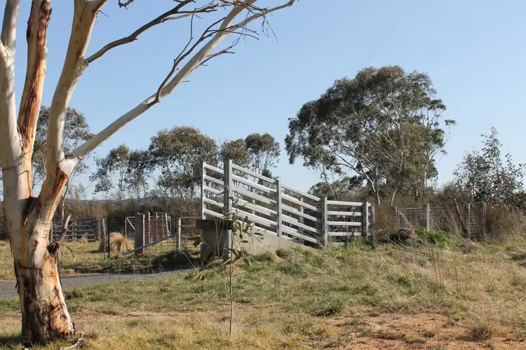 Fourth view of Homely land listing, 661 Cooma Road, Braidwood NSW 2622