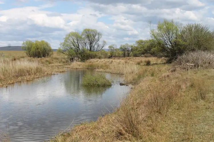 Sixth view of Homely land listing, 661 Cooma Road, Braidwood NSW 2622