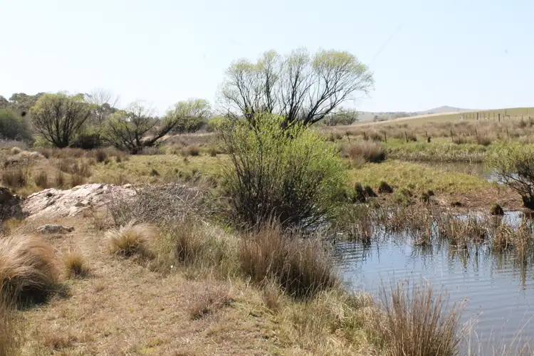 Seventh view of Homely land listing, 661 Cooma Road, Braidwood NSW 2622