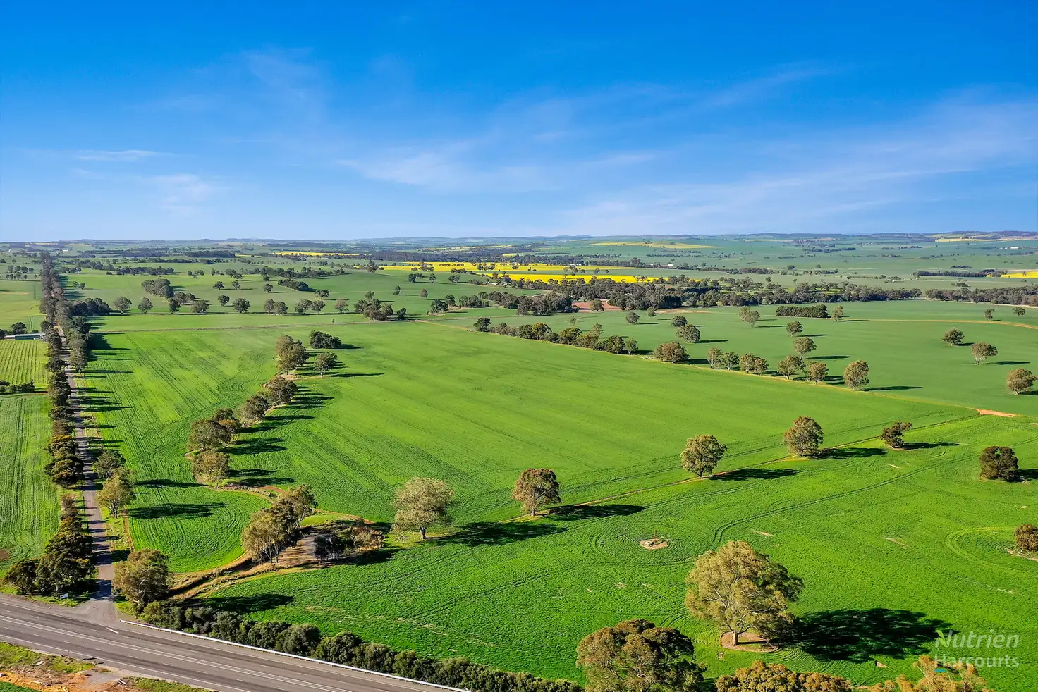 Main view of Homely rural property listing, LOT 1 Macaw Creek Rd, Riverton SA 5412