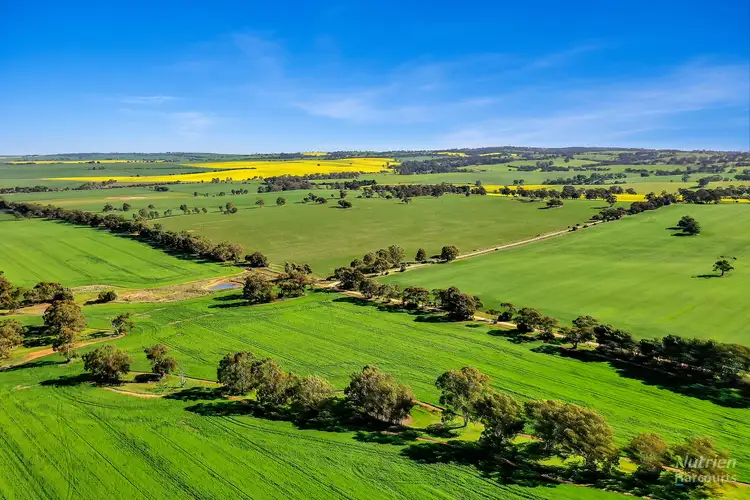 Fifth view of Homely rural property listing, LOT 1 Macaw Creek Rd, Riverton SA 5412