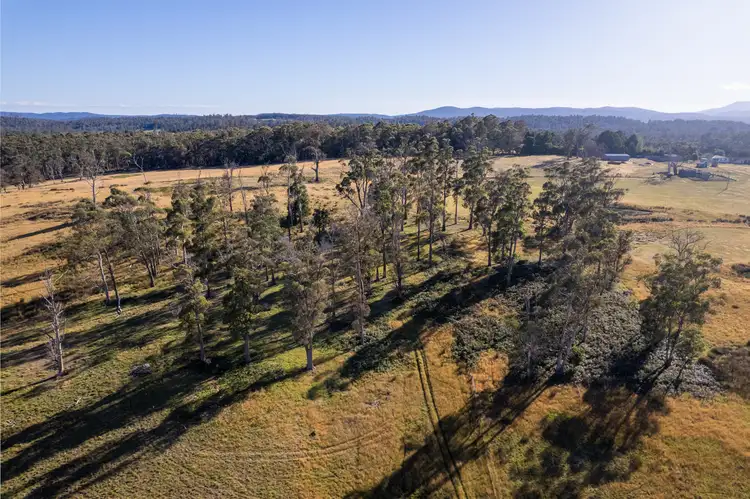 Sixth view of Homely rural property listing, 234 Winkleigh Road, Exeter TAS 7275