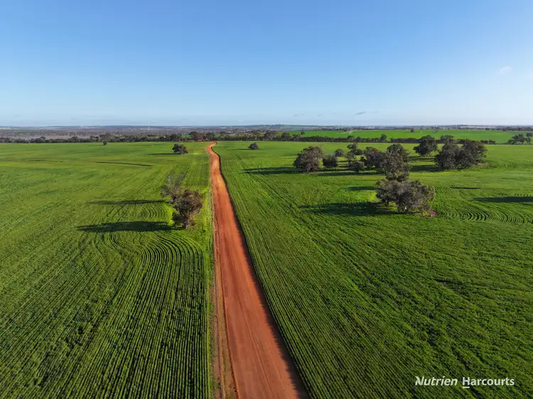 Main view of Homely rural property listing, . Kibbleup Road, Katanning WA 6317
