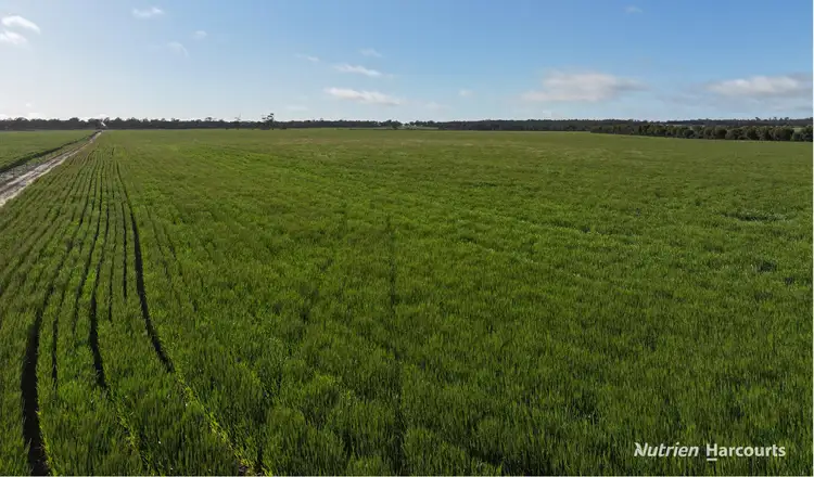 Fourth view of Homely rural property listing, . Kibbleup Road, Katanning WA 6317