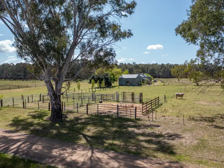 102 Ambrosio Road, North Wangaratta VIC 3678