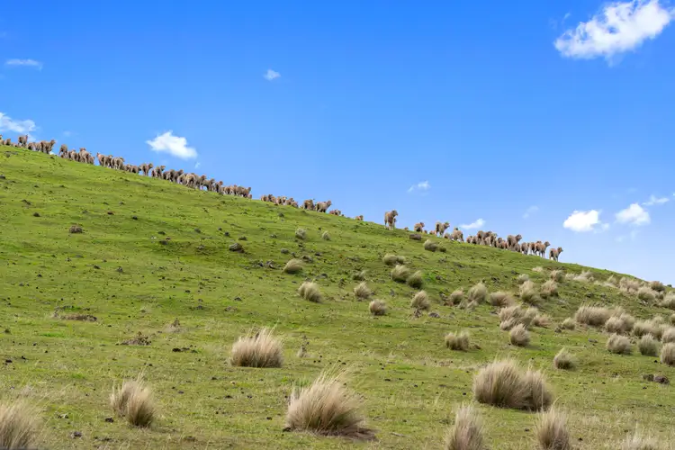 Third view of Homely rural property listing, . Lake Repulse Road, Ouse TAS 7140