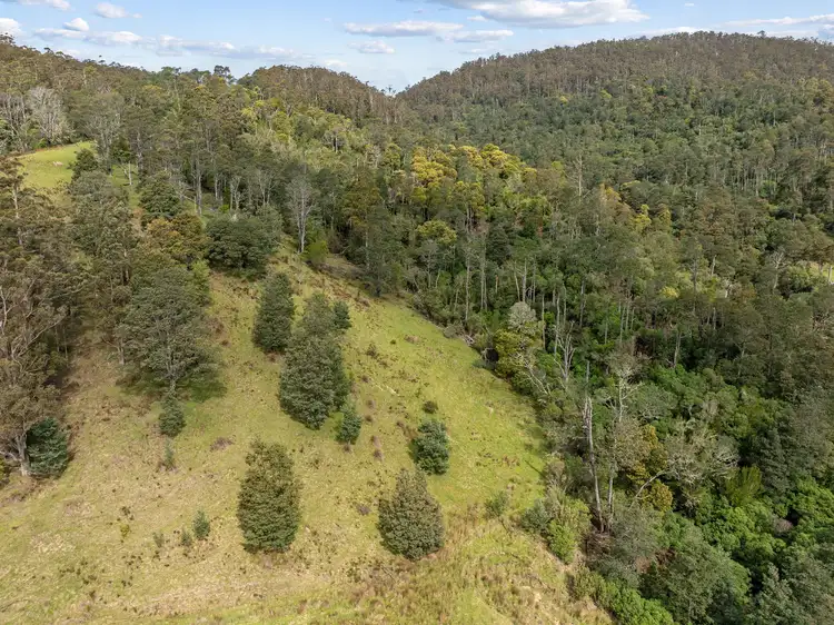 Seventh view of Homely rural property listing, Lot 1 Forest Lodge Road, Pyengana TAS 7216