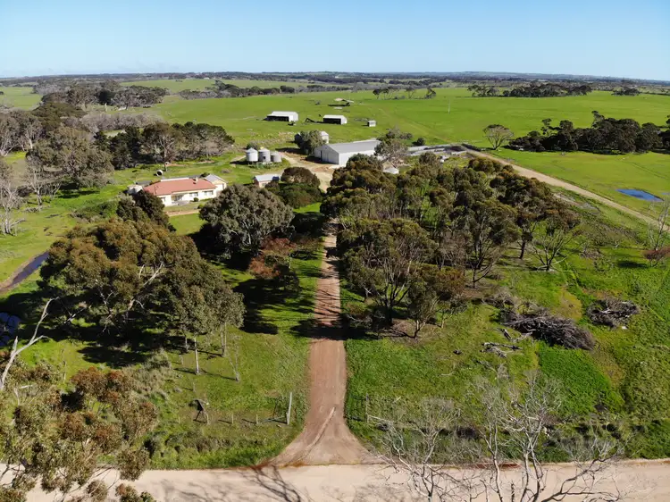 Main view of Homely rural property listing, 365 Ropers Road, Menzies SA 5223