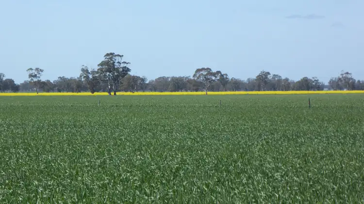 Sixth view of Homely rural property listing, 139 Packer Road, Bordertown South SA 5268