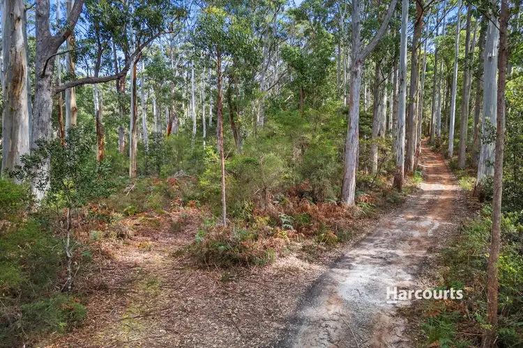 Bannons Bridge Road, Gunns Plains TAS 7315