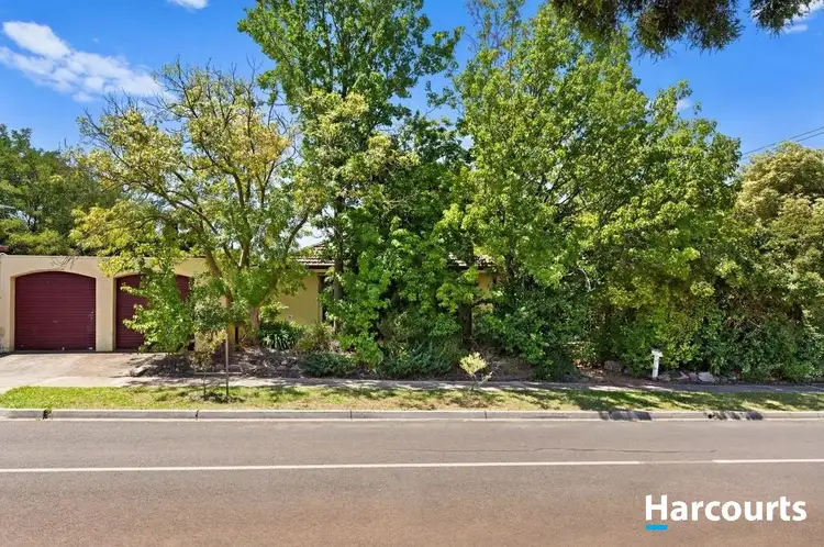 Second view of Homely house listing, 171 Maroondah Highway, Croydon VIC 3136