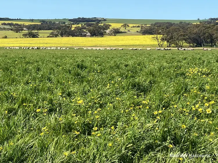 Second view of Homely rural property listing, . 'Yooralling', Cunderdin WA 6407