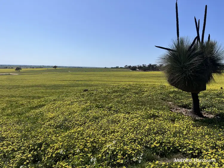 Fourth view of Homely rural property listing, . 'Yooralling', Cunderdin WA 6407