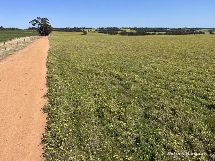 Fifth view of Homely rural property listing, . 'Yooralling', Cunderdin WA 6407
