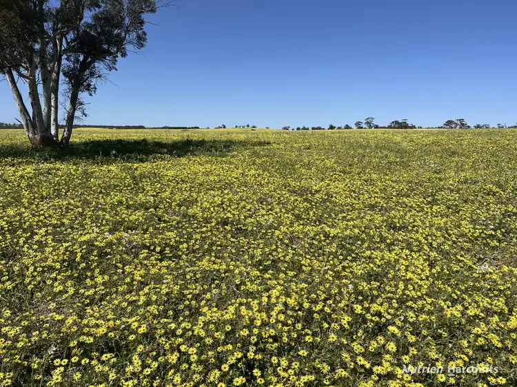 Sixth view of Homely rural property listing, . 'Yooralling', Cunderdin WA 6407